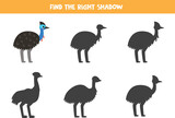 Find shadow of cute cassowary. Educational logical game for kids.