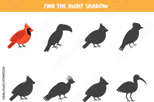 Find shadow of cute red cardinal bird. Educational logical game for kids.