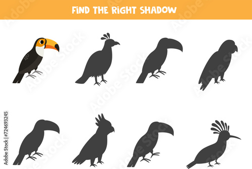 Find shadow of cute toucan bird. Educational logical game for kids.