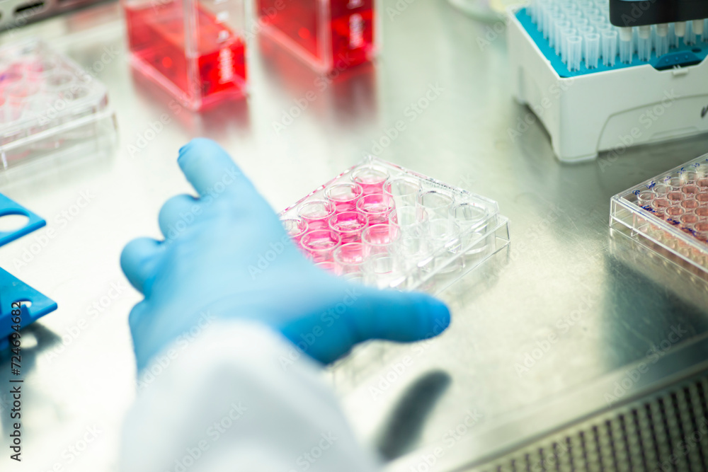 Cell culture experiments at fume hood Cell culture experiments at fume hood
