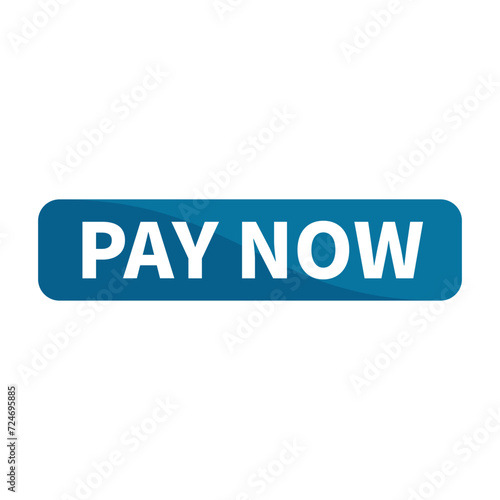 Pay Now Button Text In Blue Rectangle Shape For Sale Promotion Business Marketing Social Media Information Announcement
