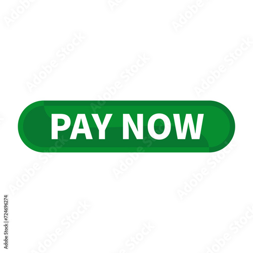 Pay Now Button Text In Green Rectangle Shape For Sale Promotion Business Marketing Social Media Information Announcement
