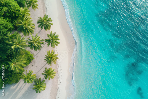 Tropical Beach Paradise with Aerial View , Palm Trees, White Sand, and Turquoise Sea