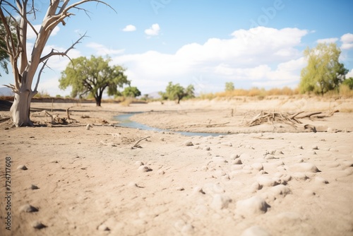 dry riverbed during a drought