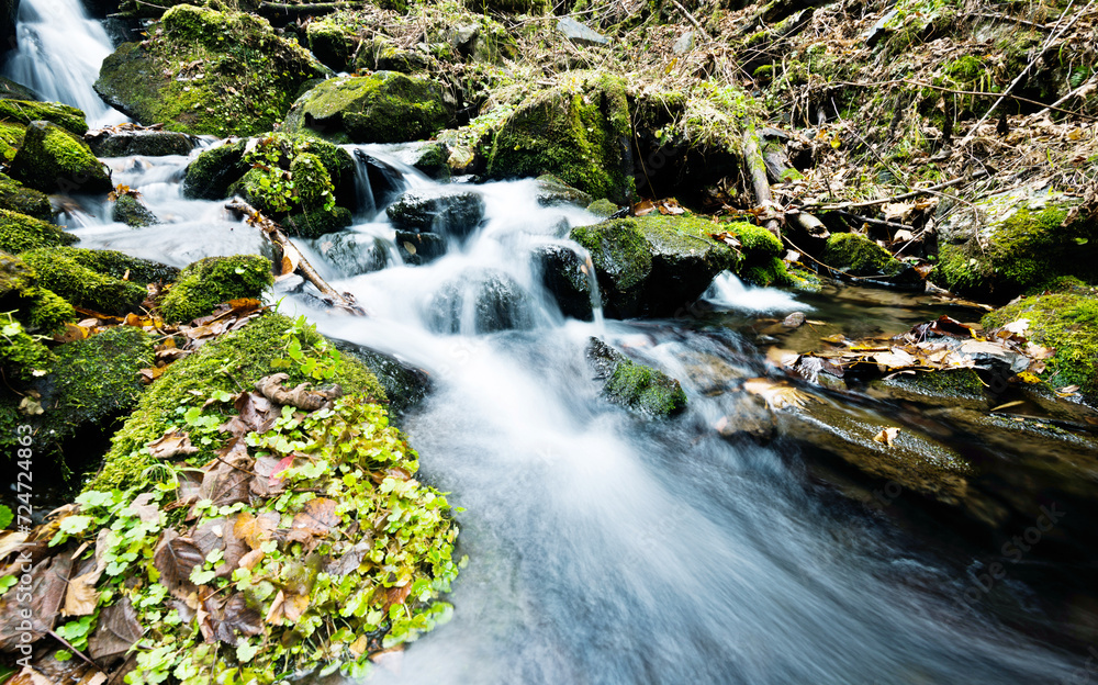 Obraz premium Mossy rocks in stream with smooth flowing water