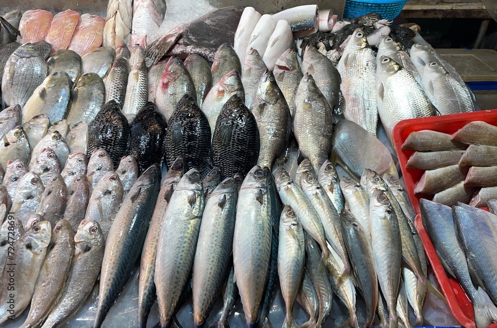 Fototapeta premium 市場の魚