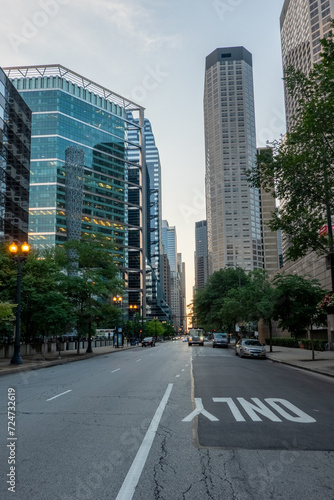 city of chicago skyline and street scenes © digidreamgrafix