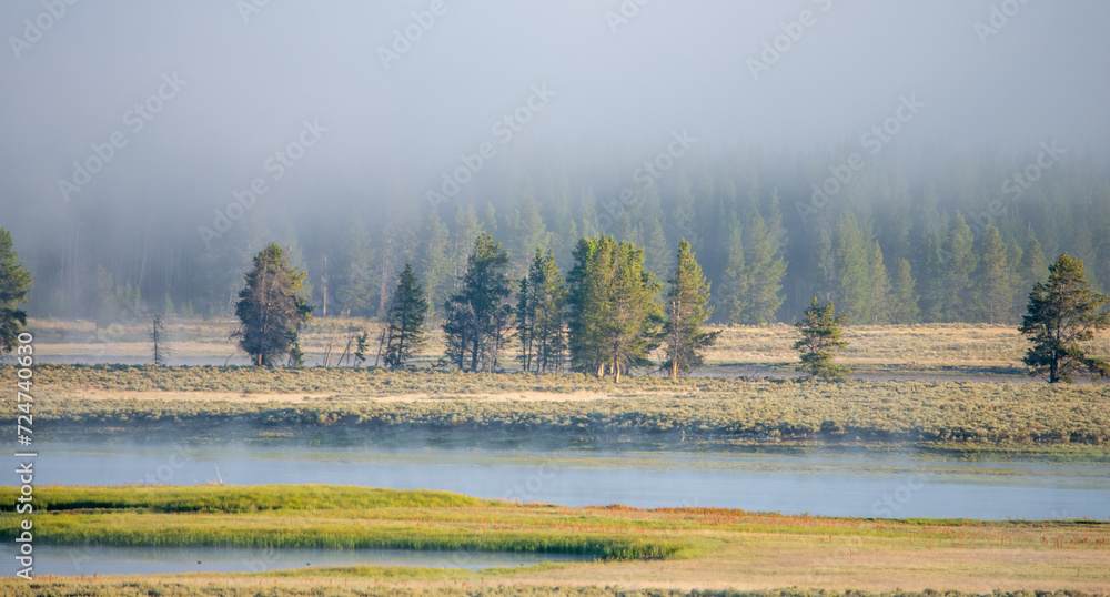 Hayden Valley Yellowstone national park Hayden Valley Yellowstone national park