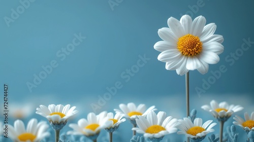  a field of daisies with a single flower sticking out of the center of the picture, with a blue background and a yellow center in the middle of the picture.