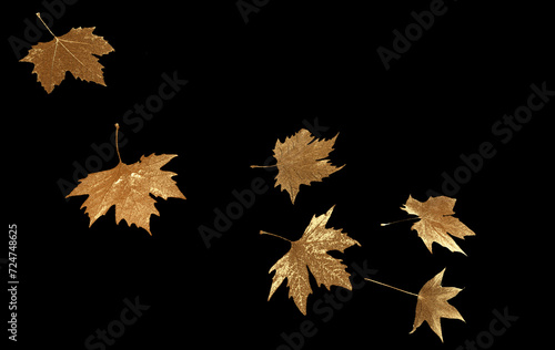 golden gold leaf leaves of platanus, falling rich autumn background - 3d rendering photo