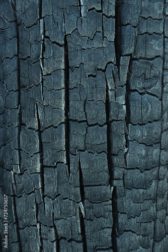 Close up Surface of charcoal. Black charcoal bark background