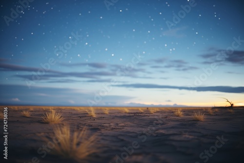 star formations illuminating dark skies over a quiet plain