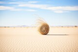 tumbleweed rolling with the wind in desert