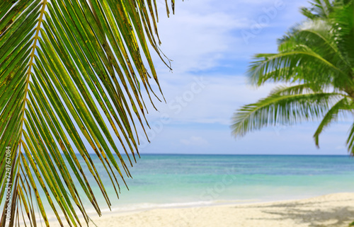 Tropical palm trees on the Caribbean beach and blue sky background.