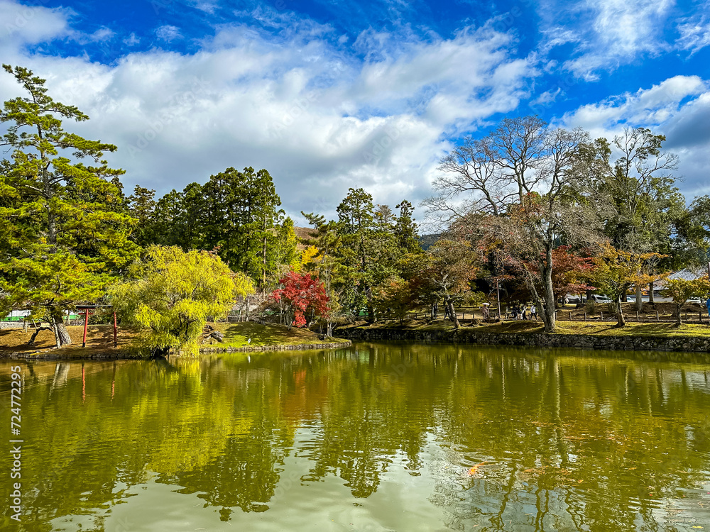 Japanese garden and pond view during sunny autumnal day in Nara, Japan.