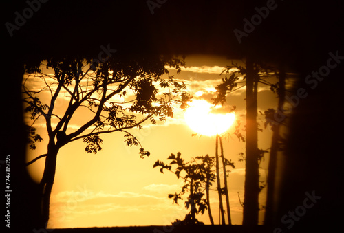 Fotografia contra luz
