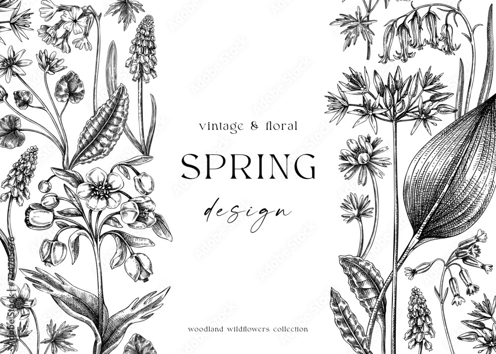 Vintage spring background. Hand drawn vector illustration. Vintage floral frame. Woodland wild flower sketches. Wildflowers design template - obrazy, fototapety, plakaty 