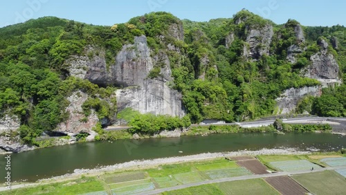 青の洞門とネモフィラ畑【大分県中津市耶馬溪】