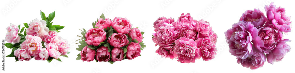 Peony Flower Pile Of Heap Of Piled Up Together Hyperrealistic Highly Detailed Isolated On Transparent Background Png File