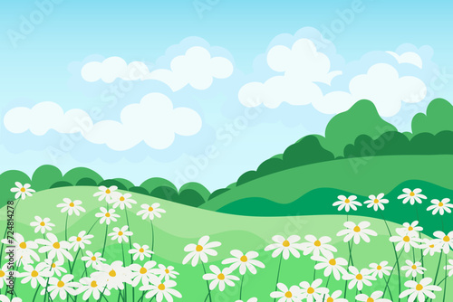 Spring-summer landscape, chamomile fields and meadows against the sky with clouds. Illustration, background, vector