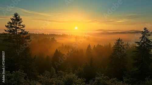 A serene sunrise over a misty forest stock photo