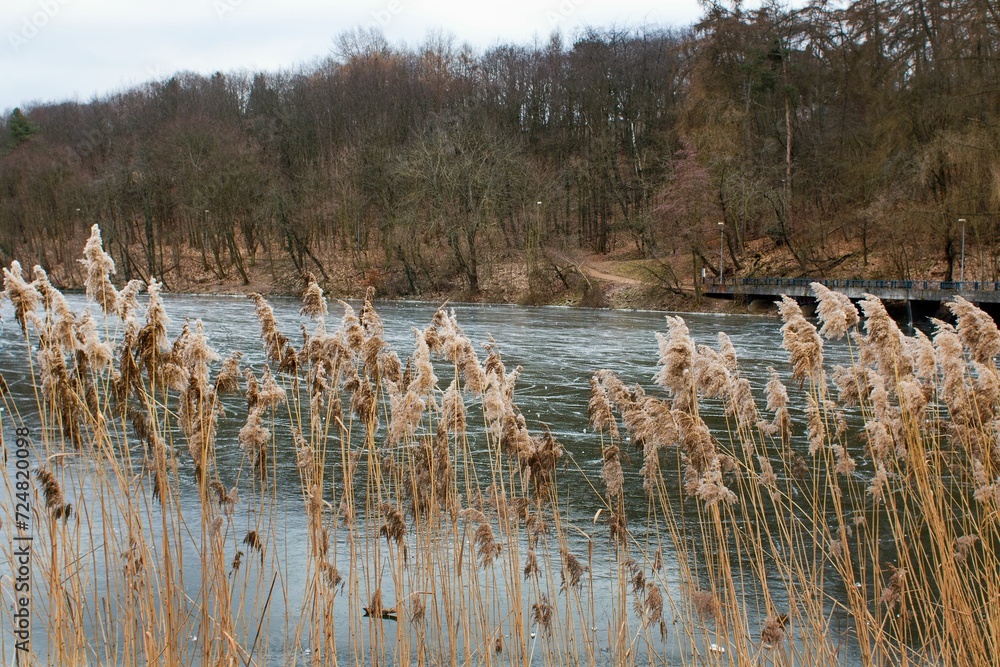 Prague's Džbán swimming pool in winter, a natural outdoor swimming pool located in the beautiful location of the Divoká Šárka nature reserve.