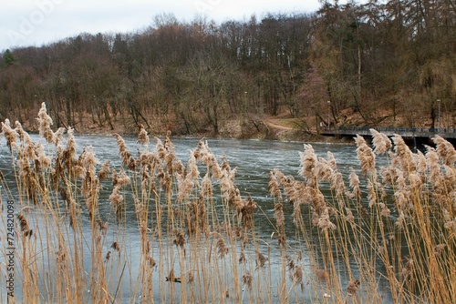 Photography Prague's Džbán swimming pool in winter, a natural outdoor swimming pool located in the beautiful location of the Divoká Šárka nature reserve