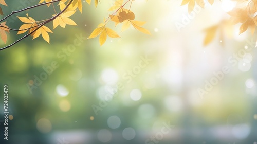 Golden autumn leaves hanging with a soft sunlight bokeh in the background  evoking a peaceful fall atmosphere.