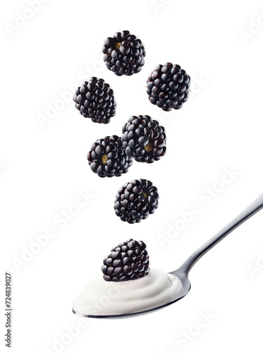Spoon of fresh greek yogurt and falling blackberries on white background