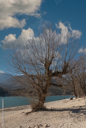 Lago di Barrea - L'Aquila - Abruzzo - Italia photo