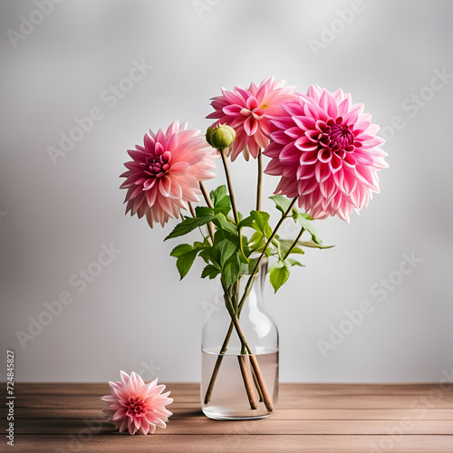 pink dahlia flowers in a vase