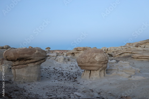 Strange Rock Formation in Bisti Badlands Valley dreams  New Mexico USA