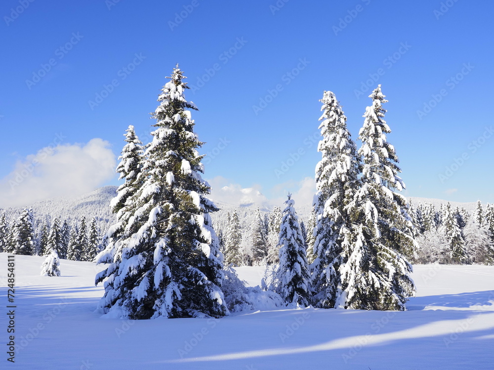 Karwendel Buckelwiesen im Winterkleid