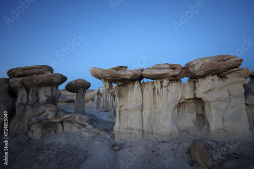 Strange Rock Formation in Bisti Badlands Valley dreams  New Mexico USA