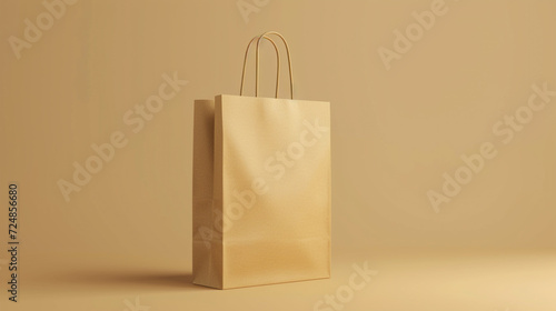 Blank paper bag for mock up isolated on plain background. 