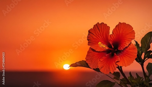 Hibiscus sunset gradient from fiery red to burnt orange