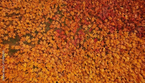 Autumnal equinox gradient from pumpkin orange to maple red