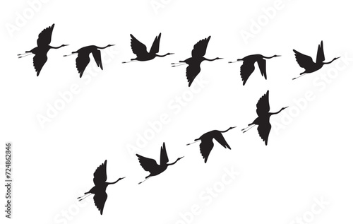 Flock of crane birds. Vector silhouette image.