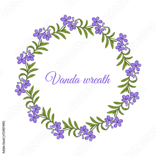 Blue vanda orhid floral hand drawn wreath © foxyliam