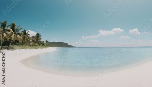 beach with palm trees