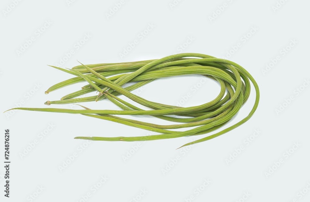 Moringa Oleifera Fruit or Drumstick Isolated on White Background, Also Known as Horseradish Tree Fruit Moringa Oleifera Fruit or Drumstick Isolated on White Background, Also Known as Horseradish Tree Fruit