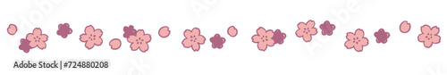 桜の罫線