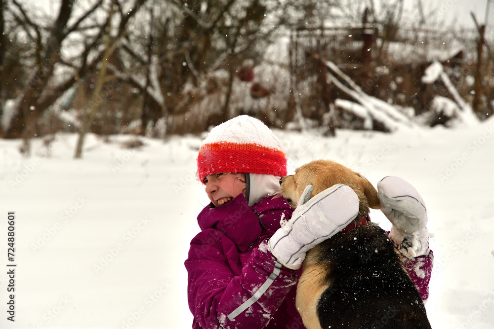 Domestic dog to snuggle with girl on the snow