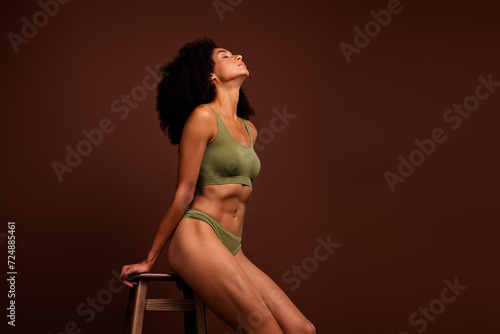 No retouch photo of stunning dreamy girl posing in lingerie muscular sexual shape empty space isolated on brown color background © deagreez