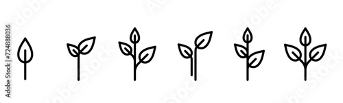 Leaves plant growth icon set illustration © tutti_frutti