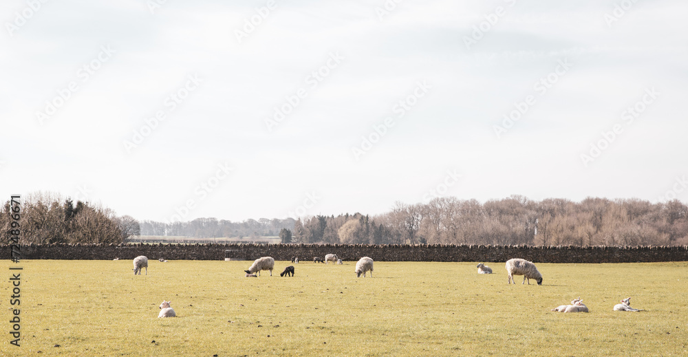 Fototapeta premium The beautiful Chipping Campden in Cotswold