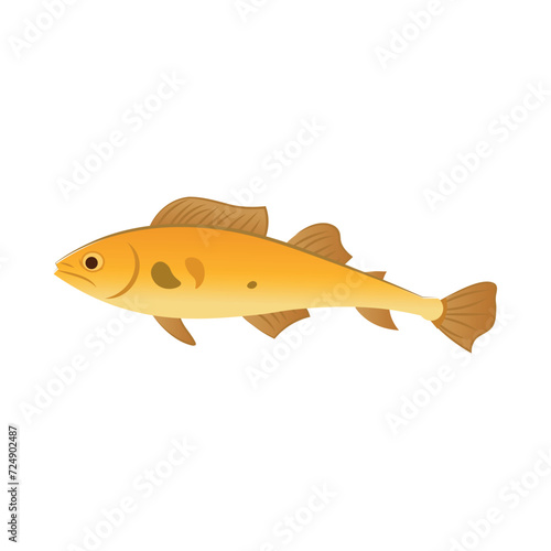 Fish of colorful set. This illustration is a visual treat, showcasing a bright and animated fish in a playful cartoon style against a serene white backdrop. Vector illustration.