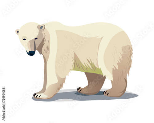 Bear of colorful set. Demonstration of the Arctic essence through this delightful polar bear in a playful cartoon style against a clean white canvas. Vector illustration.