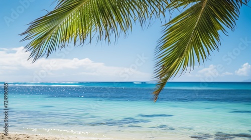 Coconut palm tree on the beach and sea