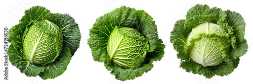 Set of Savoy cabbages isolated on transparent or white background